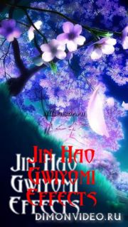 Jin Hao Gwiyomi effects