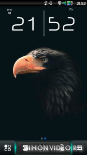 Bird of Dark by Kallol belle