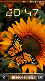Golden Butterfly by Kallol belle