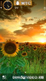 flowersun by nadia24