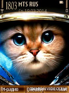 Space-Cat@Trewoga