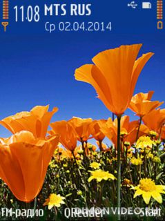 Spring Field@Trewoga