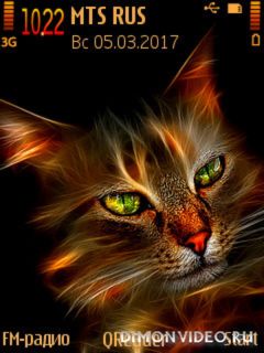Cat Prize@Trewoga