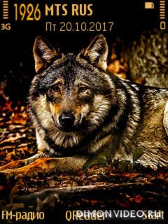 Real Wolf@Trewoga