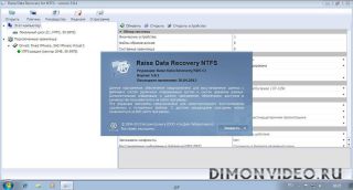 Raise Data Recovery for FAT/NTFS