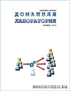 Домашняя лаборатория №10 (октябрь 2013)