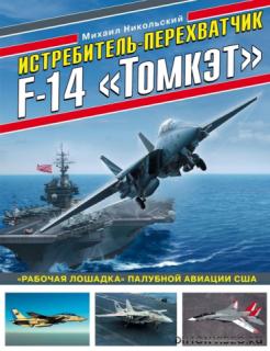 Истребитель-перехватчик F-14 "Томкэт" (2020)