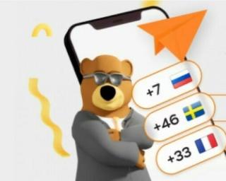 "Grizzly SMS": особенности, преимущества и порядок работы с сервисом