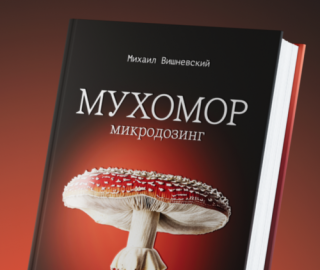 Грибная косметология Михаила Вишневского: новый подход к уходу за кожей