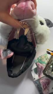 Видеоприкол  среды  (2025 - 10 - 15)  №64741