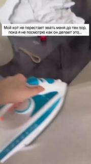 Видеоприкол  четверга  (2025 - 10 - 16)  №64776