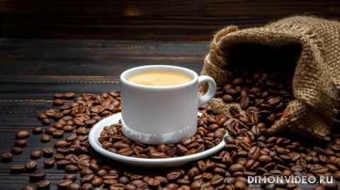 Обои 2024-06-15 №537