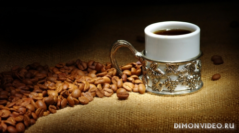 Обои 2024-06-15 №538