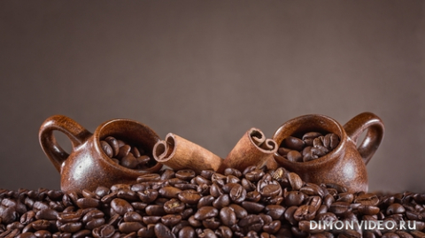 Обои 2024-06-15 №559