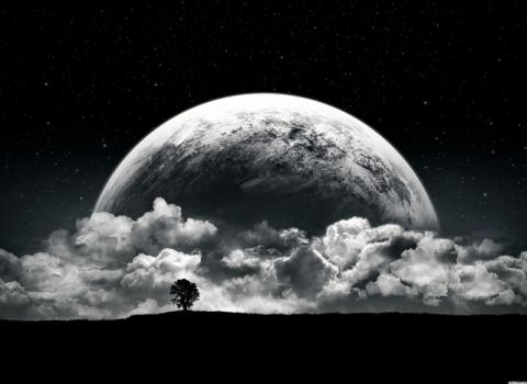 Обои 2024-06-15 №12914