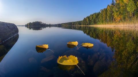 Обои 2024-06-15 №15990