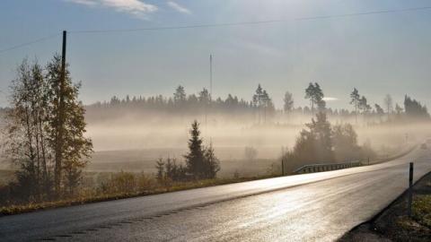 Обои 2024-06-15 №34986