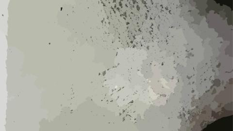 Обои 2024-06-15 №30626