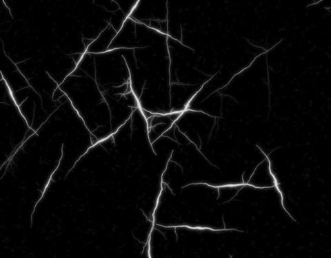 Обои 2024-06-15 №30126