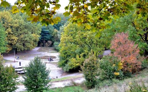 Обои 2024-06-15 №28603