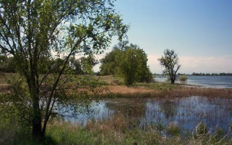 Обои 2024-06-15 №25100