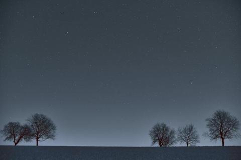 Обои 2024-06-15 №25016