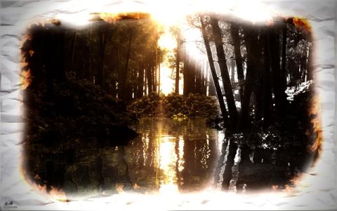 Обои 2024-06-15 №24526