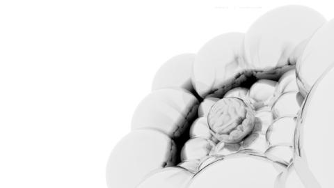 Обои 2024-06-15 №23164