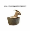 Goat_In_Basin